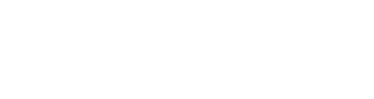 Afrika Flug Logo