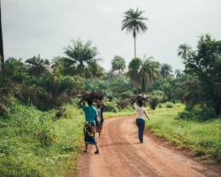 Teaserbild Sierra Leone